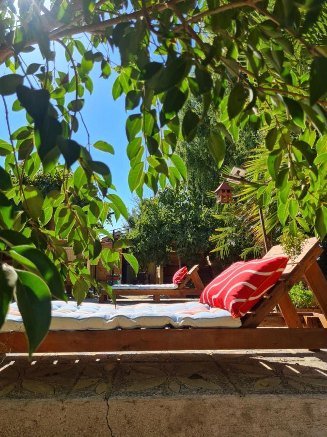 Cabanas Refugio Nativo Santa Cruz Extérieur photo